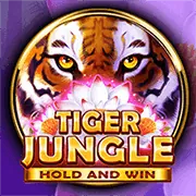 Tổng quan các loại khuyến mãi tại ku191 Casino